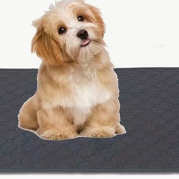 Large reusable Pet waterproof pad approx 35x31” washable great for doorways - Picture 7 of 9